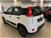 Fiat Panda 1.0 FireFly S&S Hybrid City Cross  del 2022 usata a Arezzo (6)