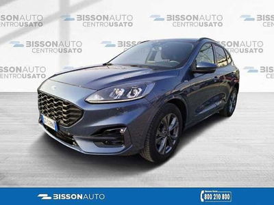 Ford Kuga 2.5 Full Hybrid 190 CV CVT 2WD ST-Line X del 2021 usata a Grumolo delle Abbadesse