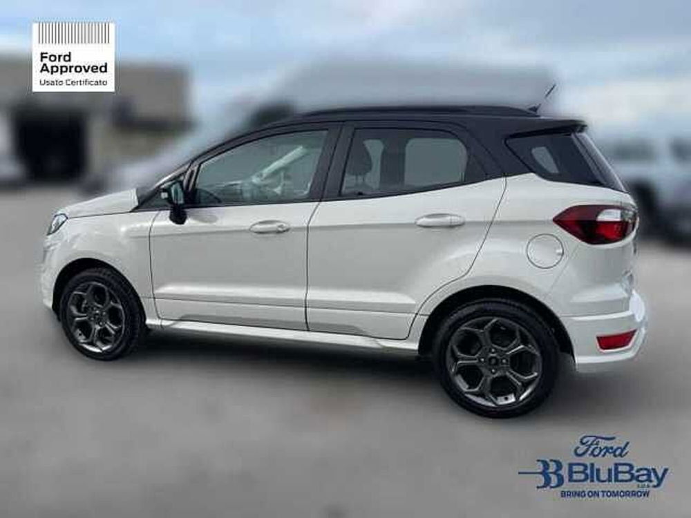 Ford EcoSport usata a Livorno (11)