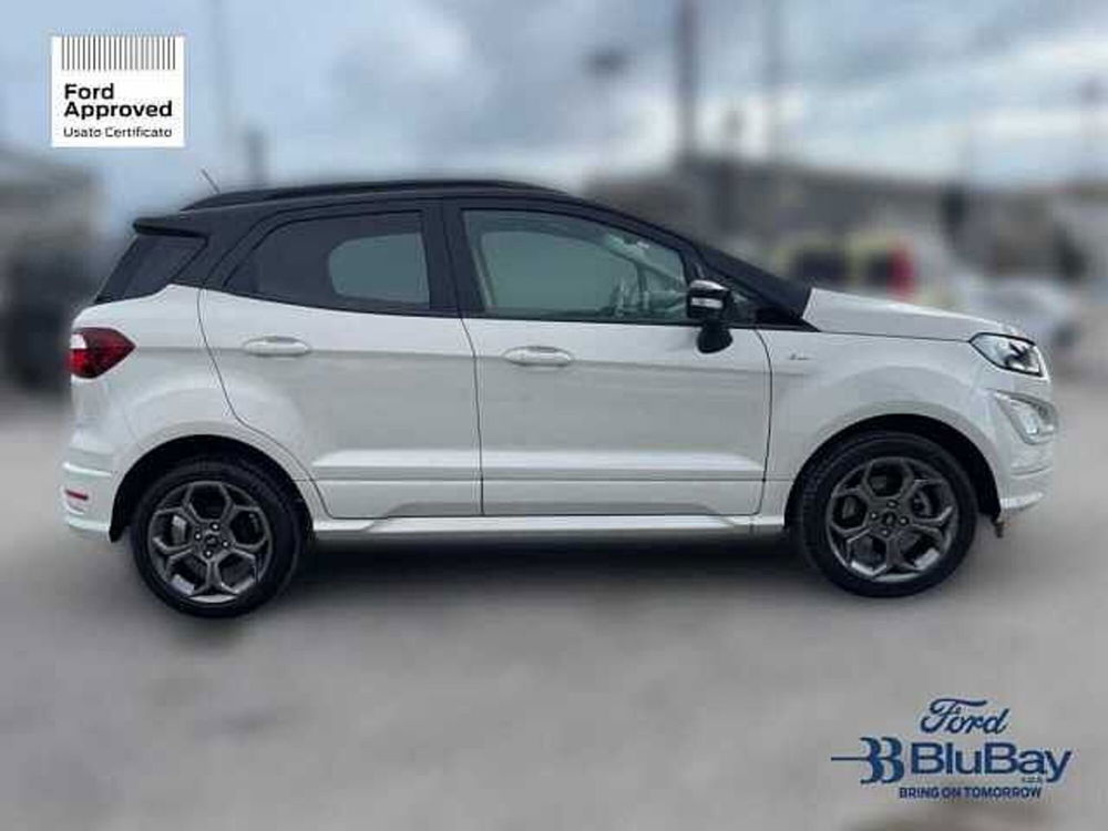 Ford EcoSport usata a Livorno (4)