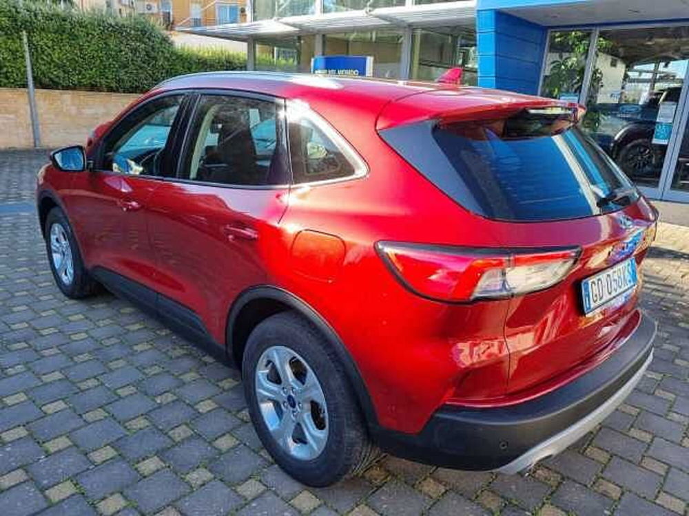 Ford Kuga usata a Bari (12)