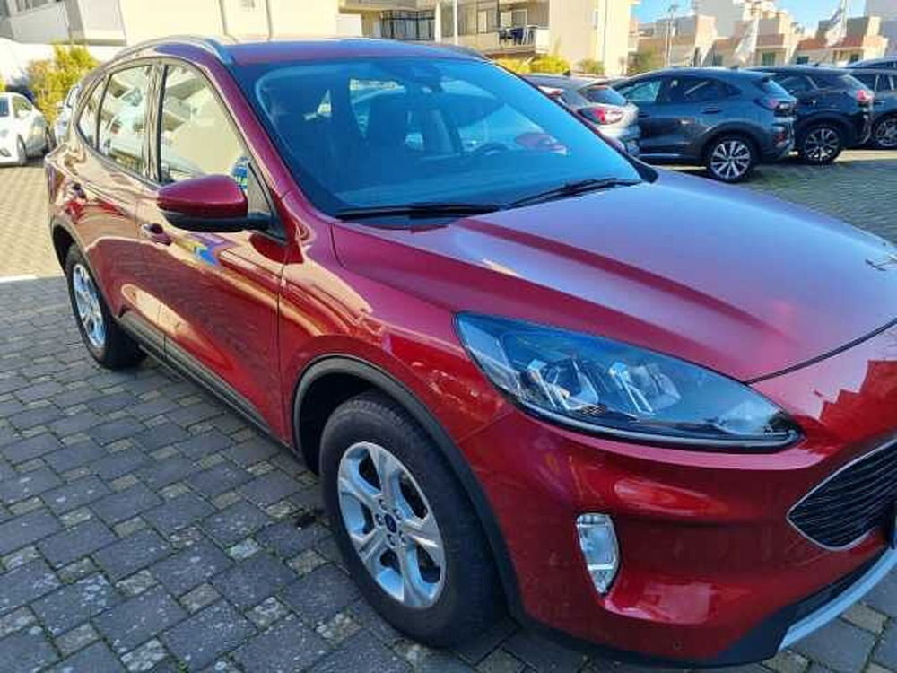 Ford Kuga usata a Bari (16)