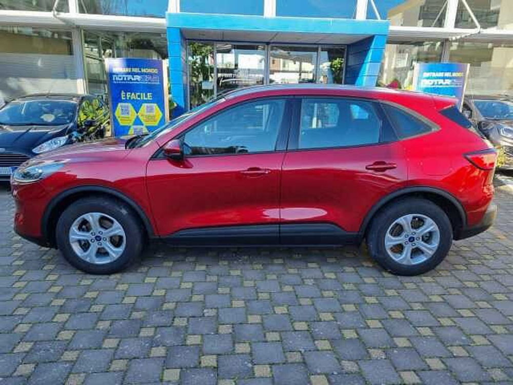 Ford Kuga 1.5 EcoBoost 120 CV 2WD  del 2021 usata a Monopoli (3)