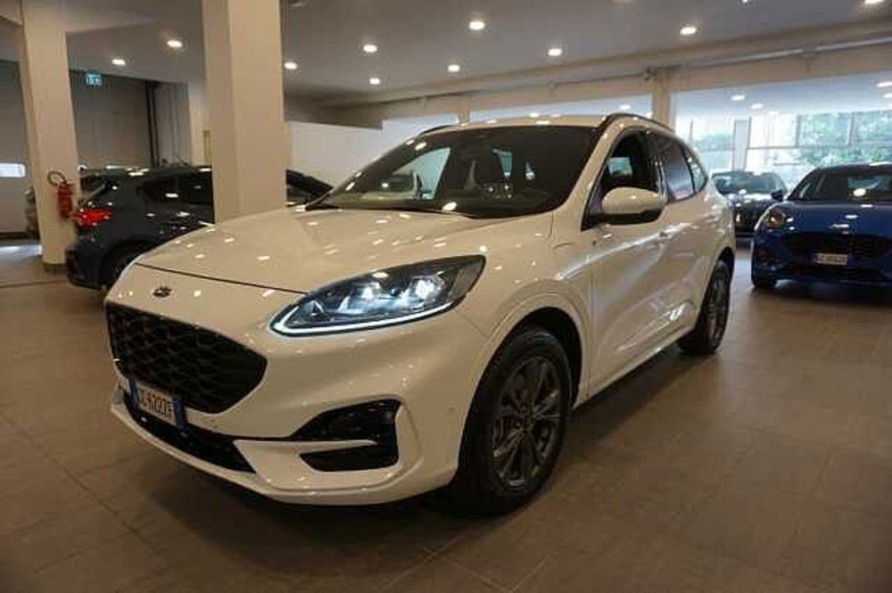 Ford Kuga usata a Bologna