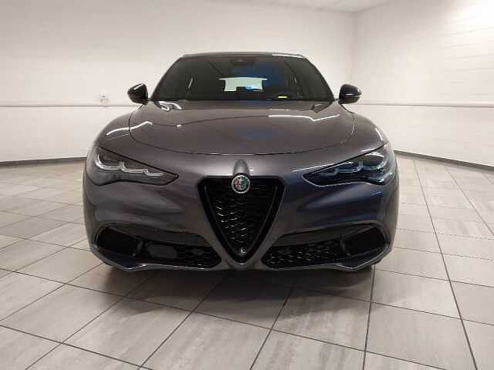Alfa Romeo Stelvio 2.2 t Veloce Q4 210cv auto nuova a Cuneo (2)