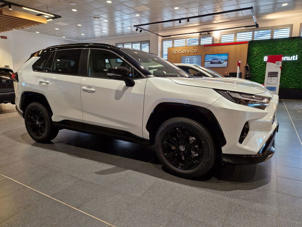 Toyota Rav4 nuova a Cremona (7)