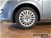 Fiat Punto Evo 1.2 5 porte S&S Dynamic del 2011 usata a Castelnovo ne' Monti (16)