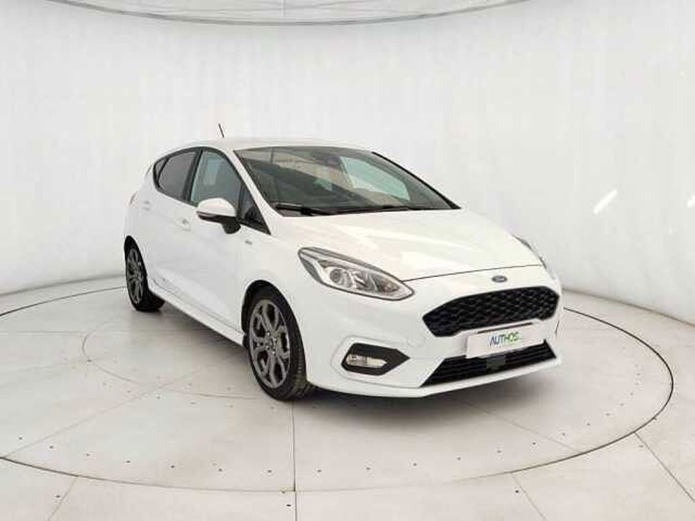 Ford Fiesta usata a Torino (2)