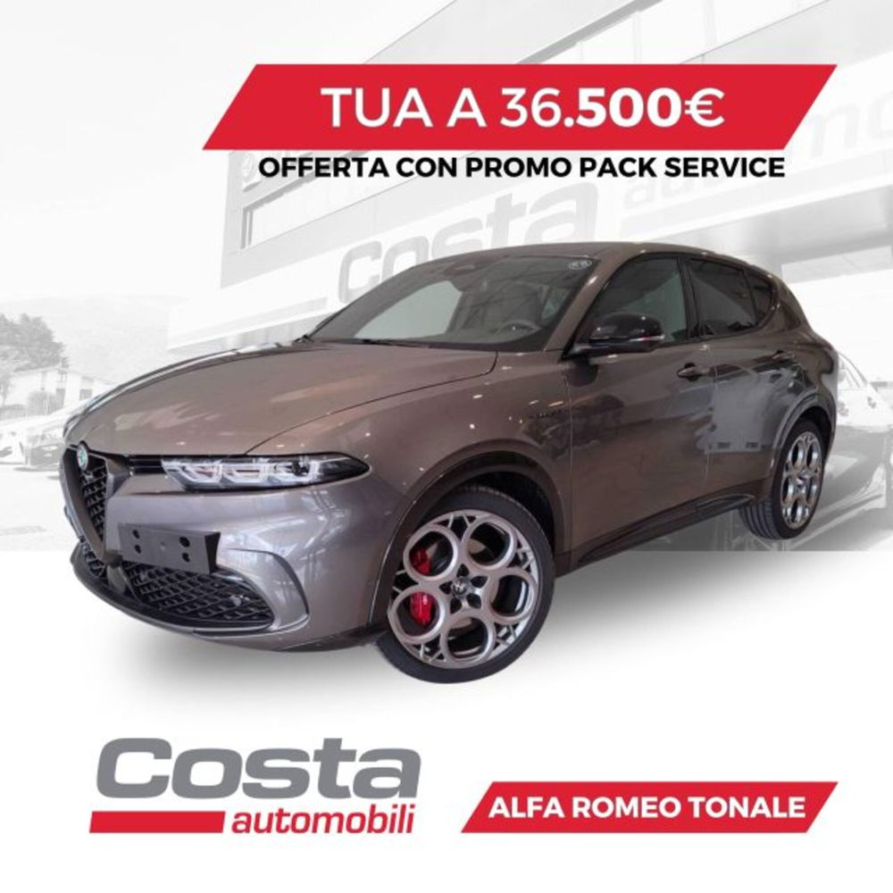 Alfa Romeo Tonale usata a Treviso