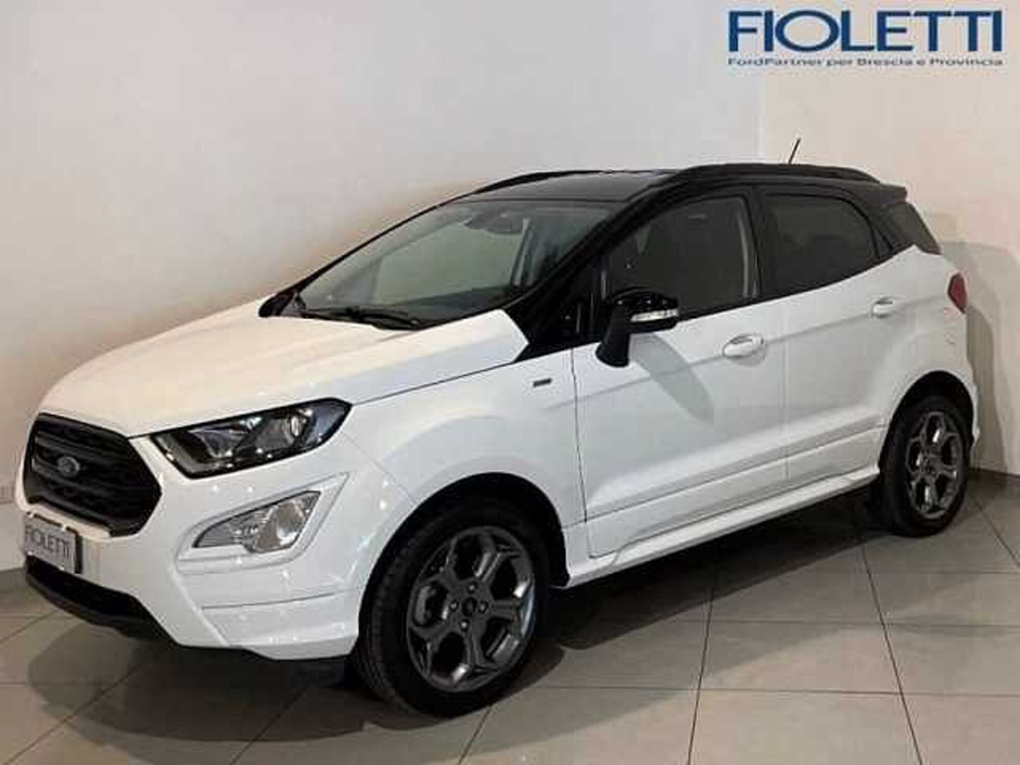 Ford EcoSport 1.0 EcoBoost 125 CV Start&amp;Stop ST-Line  del 2018 usata a Concesio