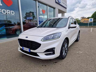 Ford Kuga 2.5 Plug In Hybrid 225 CV CVT 2WD ST-Line  del 2020 usata a Imola