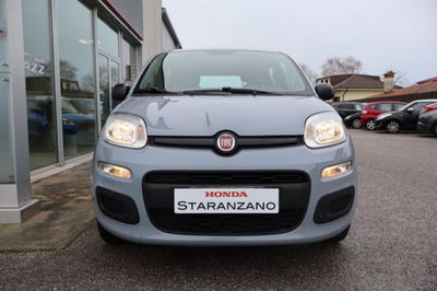 Fiat Panda 1.0 FireFly S&amp;S Hybrid Easy del 2020 usata a Staranzano