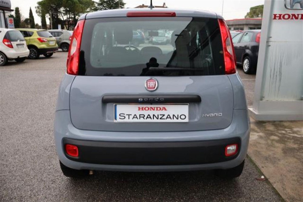 Fiat Panda 1.0 FireFly S&S Hybrid Easy del 2020 usata a Staranzano (4)