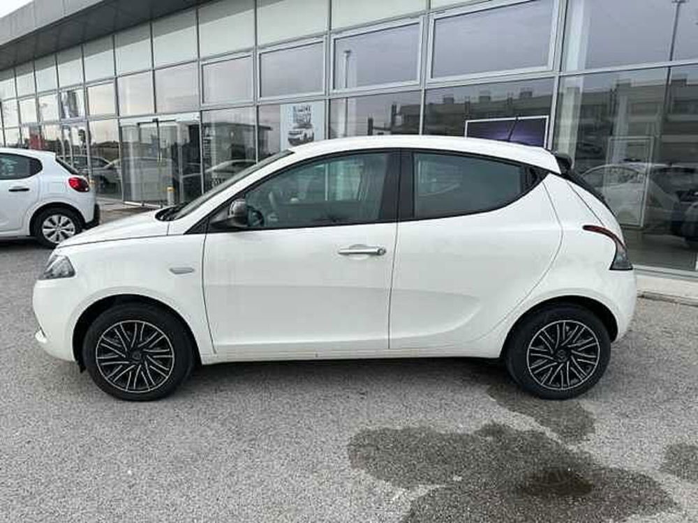 Lancia Ypsilon usata a Treviso (8)