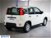 Fiat Panda 1.0 FireFly S&S Hybrid City Cross  nuova a Calusco d'Adda (6)