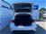Ford Focus 1.0 EcoBoost 100 CV 5p. Business  del 2020 usata a Firenze (14)