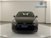 Volkswagen Golf 1.5 TGI Life del 2022 usata a Pratola Serra (7)
