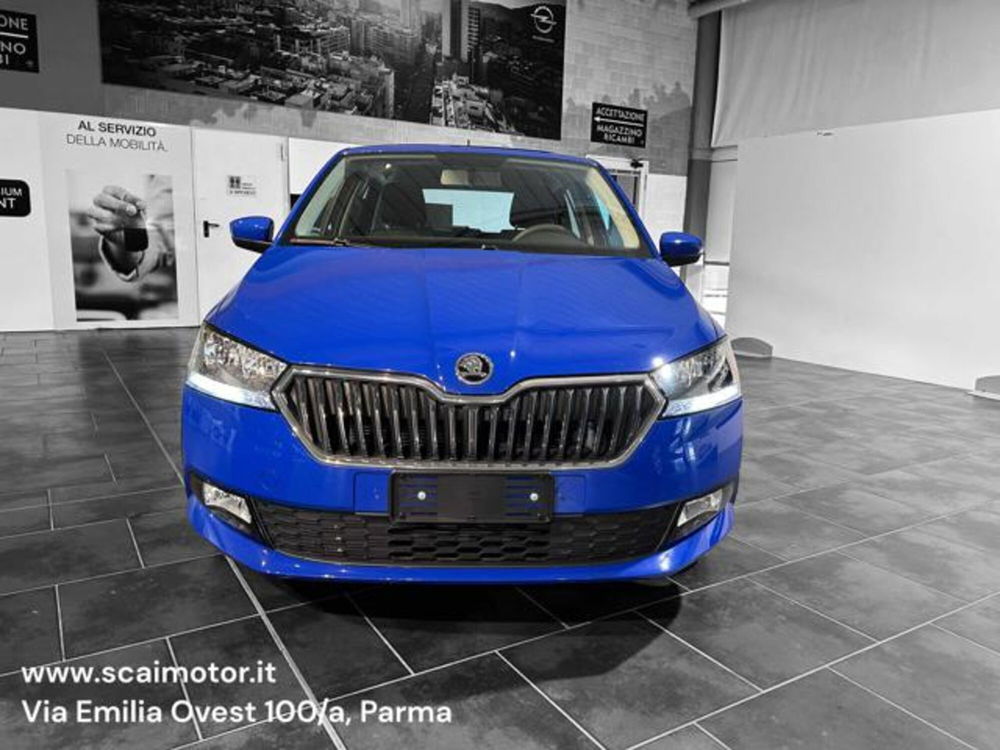 Skoda Fabia usata a Parma (2)