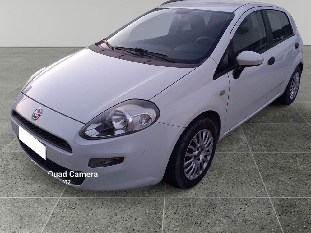 Fiat Punto 1.2 8V 5 porte Street  del 2015 usata a Palestrina (2)