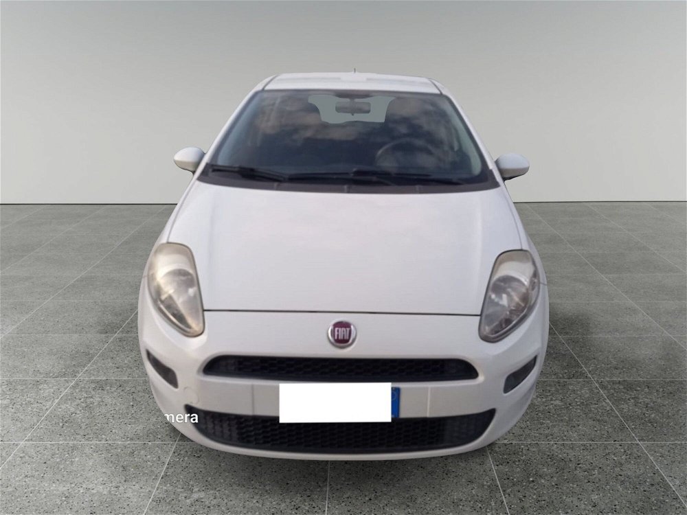 Fiat Punto 1.2 8V 5 porte Street  del 2015 usata a Palestrina (3)