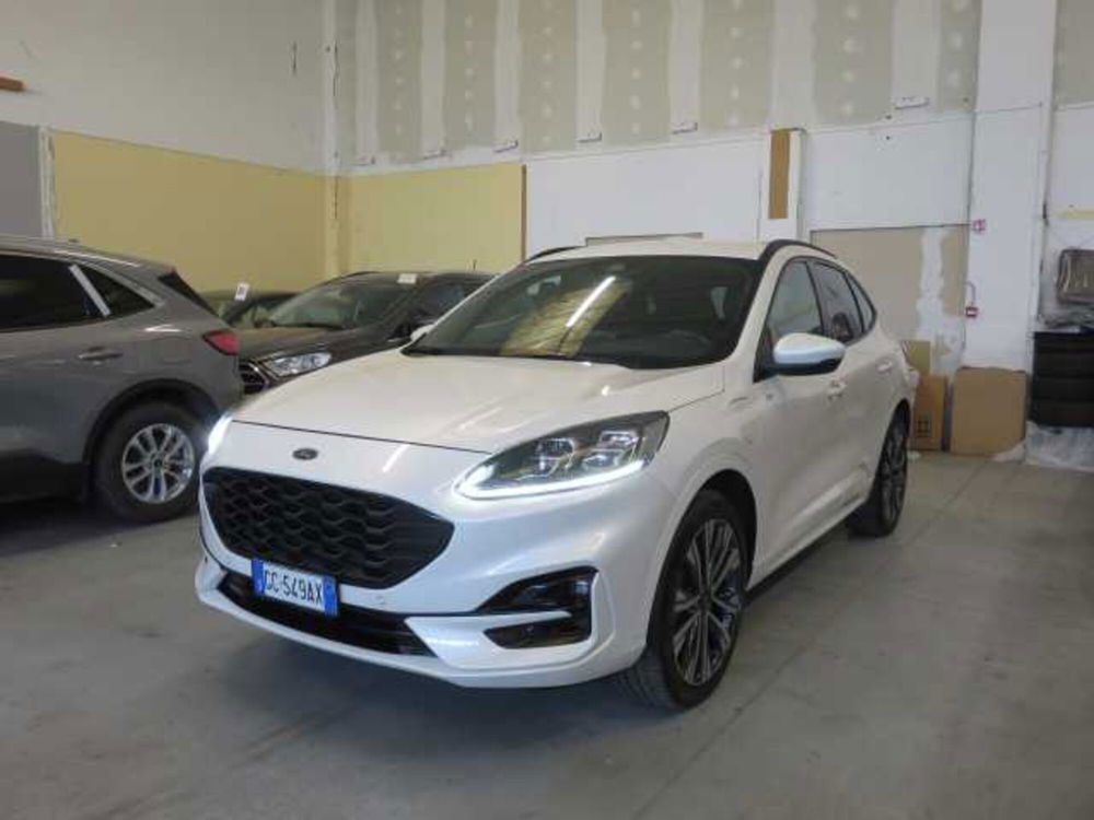 Ford Kuga usata a Bologna