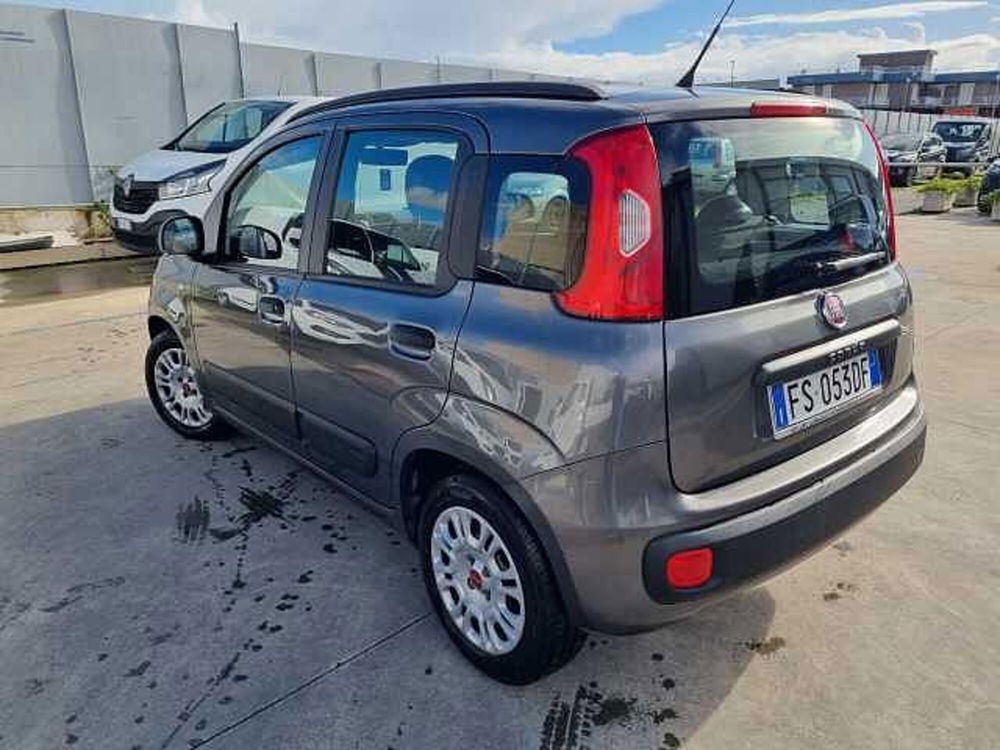 Fiat Panda usata a Salerno (2)