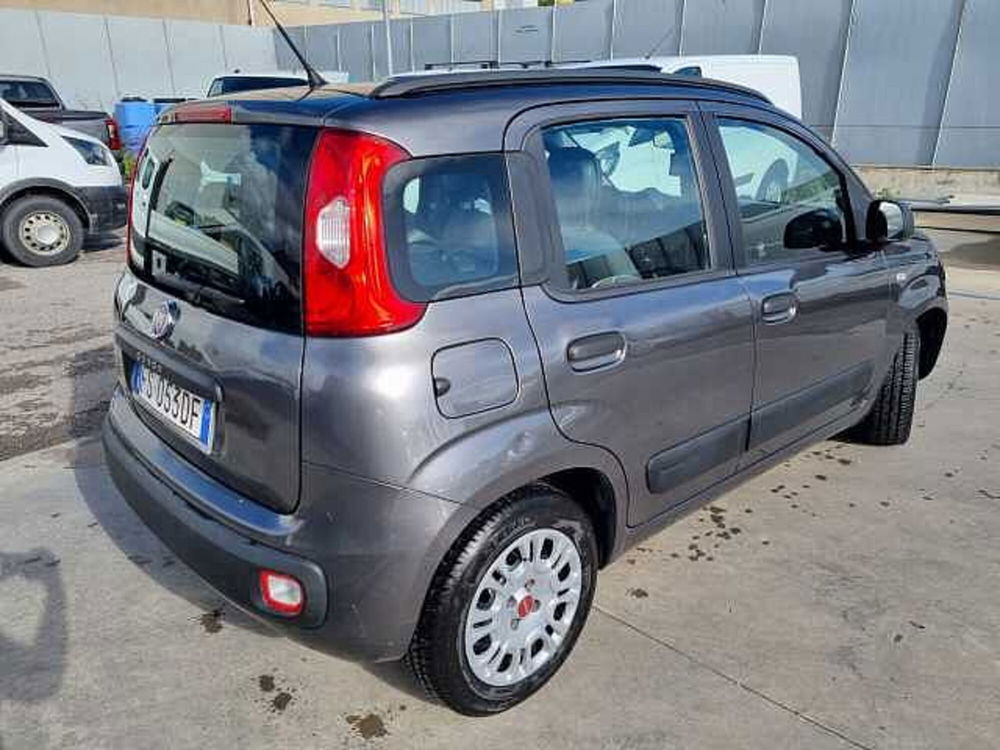 Fiat Panda usata a Salerno (3)