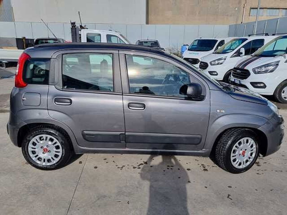 Fiat Panda usata a Salerno (5)