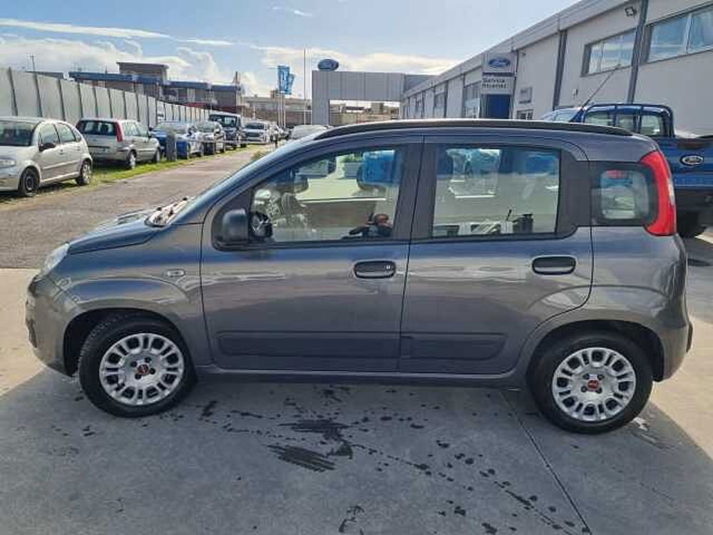 Fiat Panda usata a Salerno (6)