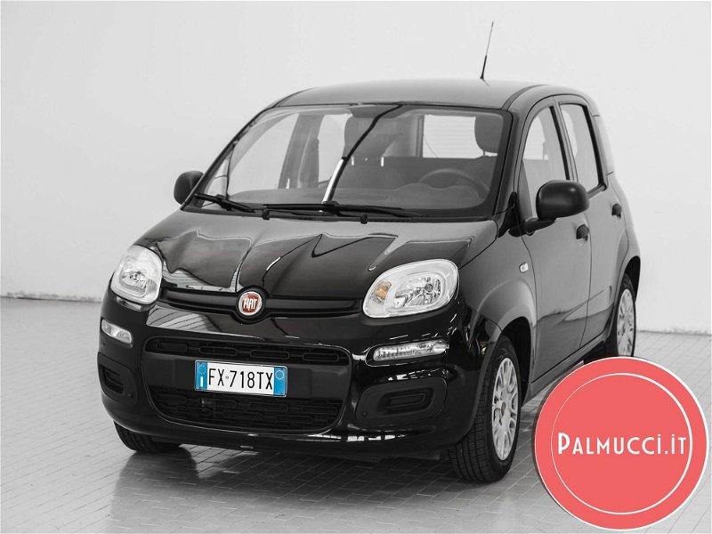 Fiat Panda 1.2 Easy  del 2019 usata a Prato