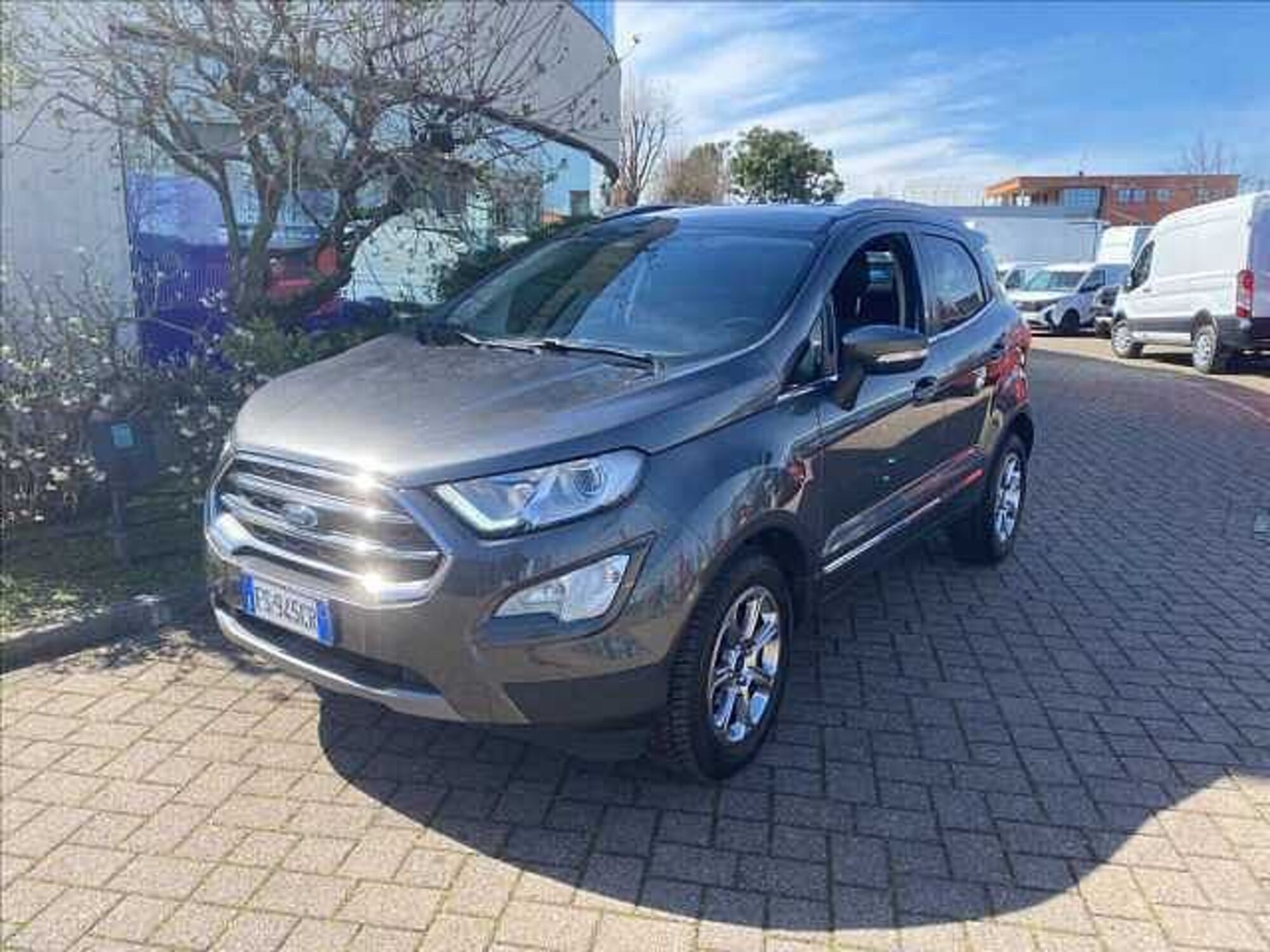 Ford EcoSport 1.0 EcoBoost 100 CV Titanium  del 2018 usata a Saronno