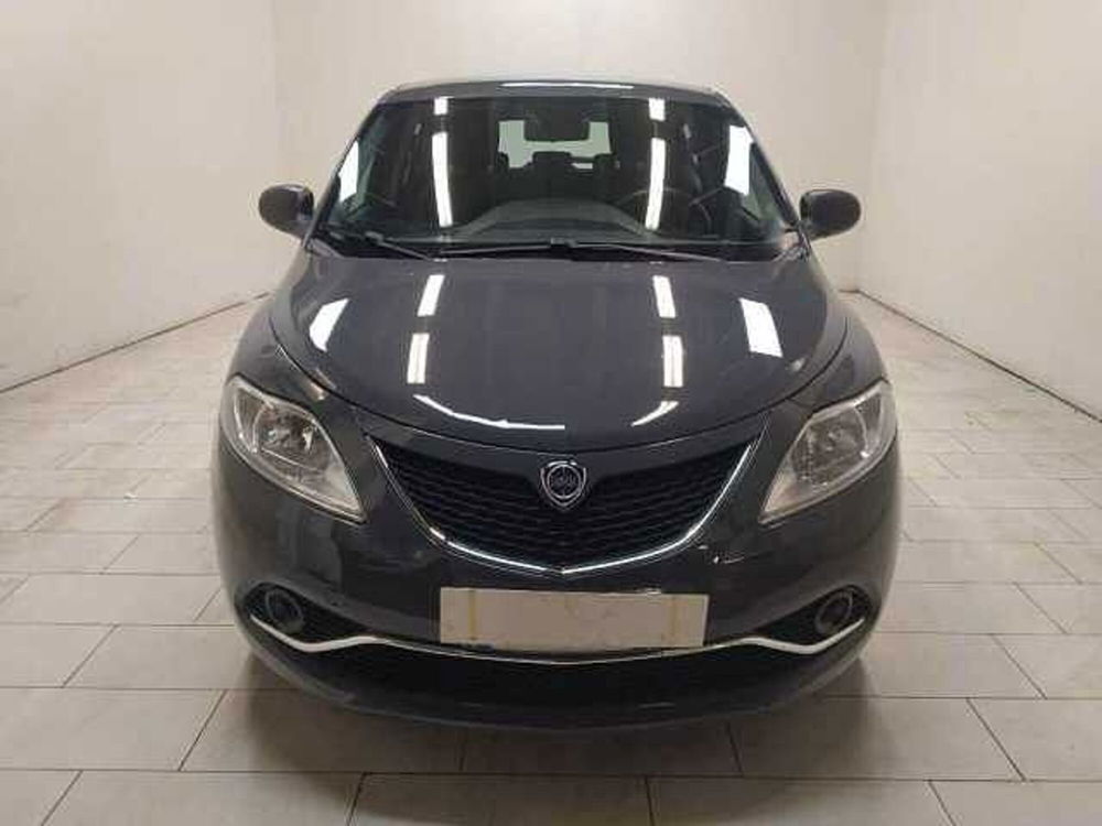 Lancia Ypsilon 1.2 69 CV 5 porte Elefantino  del 2015 usata a Cuneo (2)