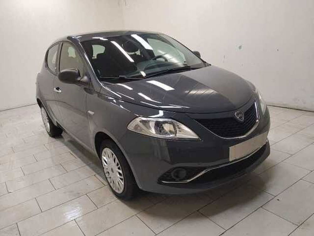 Lancia Ypsilon 1.2 69 CV 5 porte Elefantino  del 2015 usata a Cuneo (3)