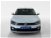 Volkswagen Polo 1.0 TSI DSG 5p. Highline BlueMotion Technology  del 2018 usata a Massa (8)