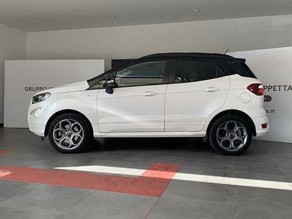 Ford EcoSport usata a Cosenza (3)