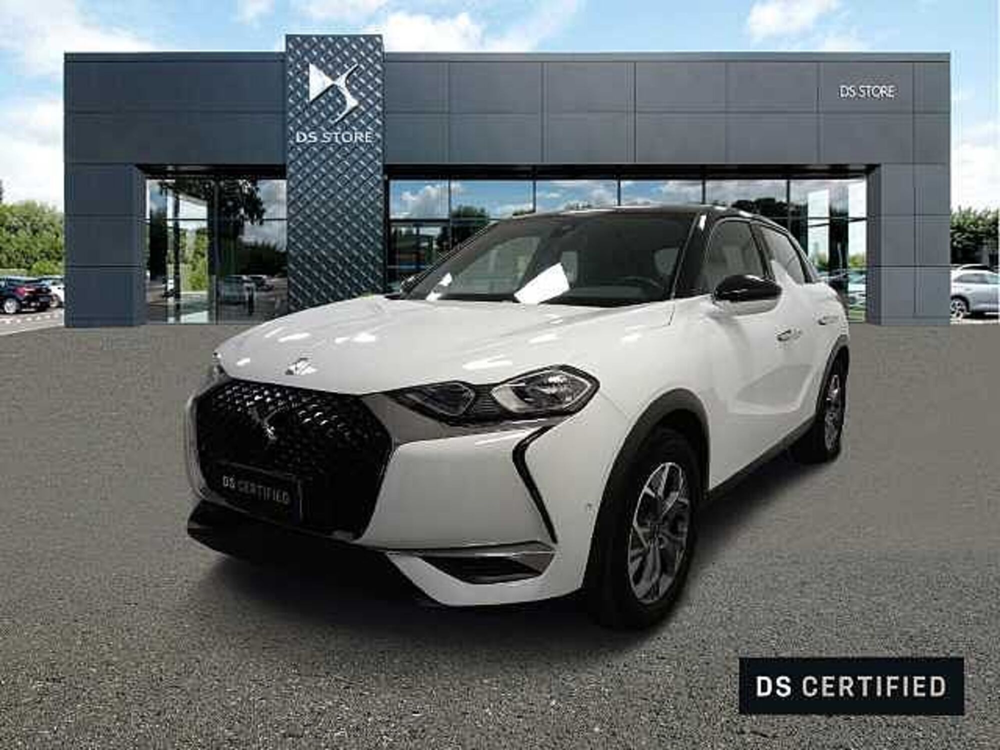 Ds DS 3 DS 3 Crossback PureTech 100 Business  del 2020 usata a Cuneo