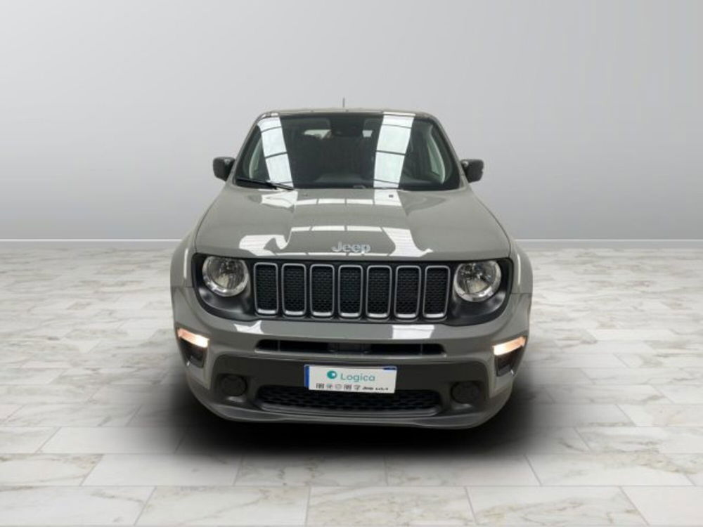 Jeep Renegade usata a Biella (2)