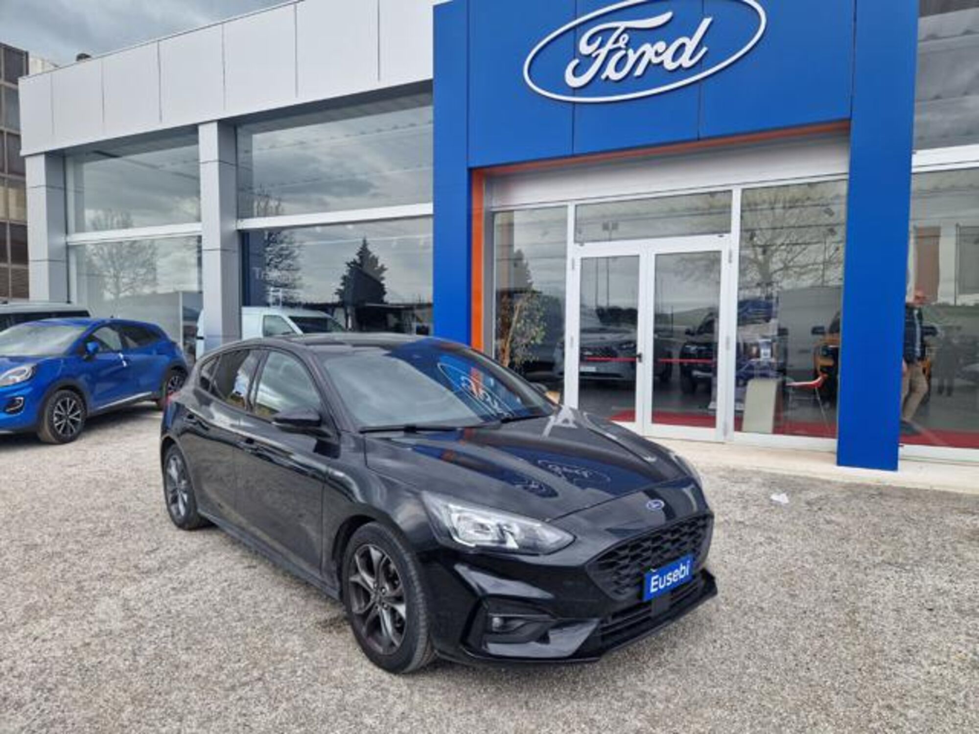 Ford Focus 1.5 EcoBlue 120 CV 5p. ST-Line  del 2020 usata a Fano