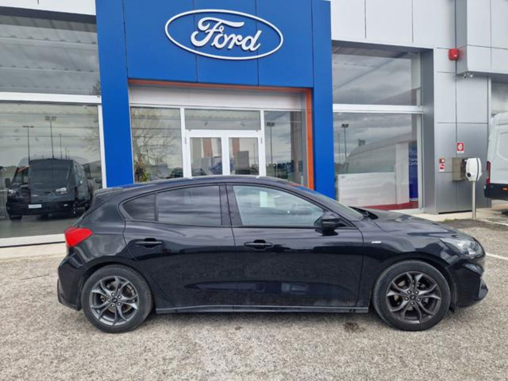 Ford Focus usata a Pesaro-Urbino (8)