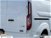 Ford Transit Custom Furgone 280 2.0 TDCi 130 MHEV PC Furgone Trend del 2020 usata a Albano Laziale (14)