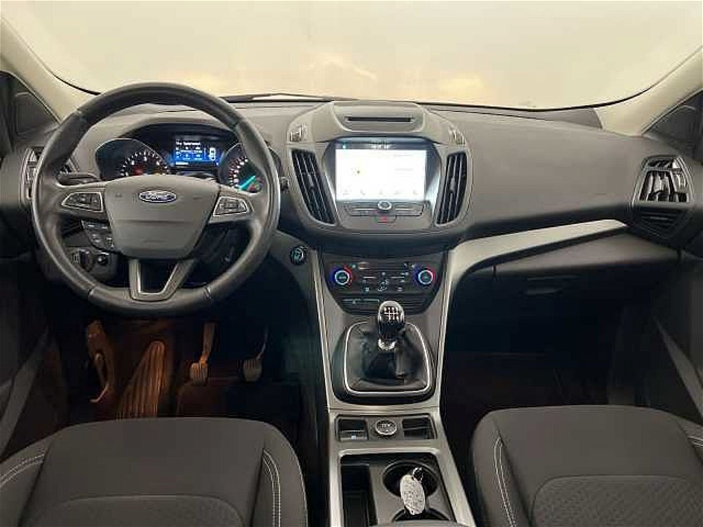 Ford Kuga 1.5 TDCI 120 CV S&S 2WD Plus  del 2018 usata a Cesena (5)
