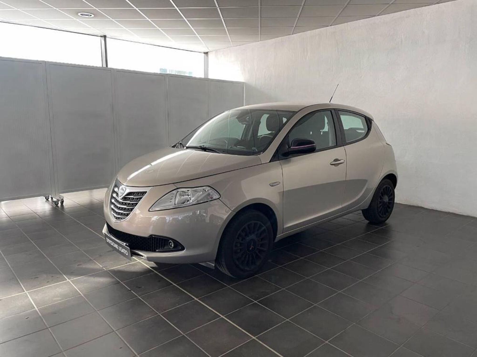 Lancia Ypsilon 1.2 69 CV 5 porte Elefantino  del 2014 usata a Torino