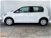 Volkswagen up! 5p. eco move up! BlueMotion Technology  del 2020 usata a Roma (7)