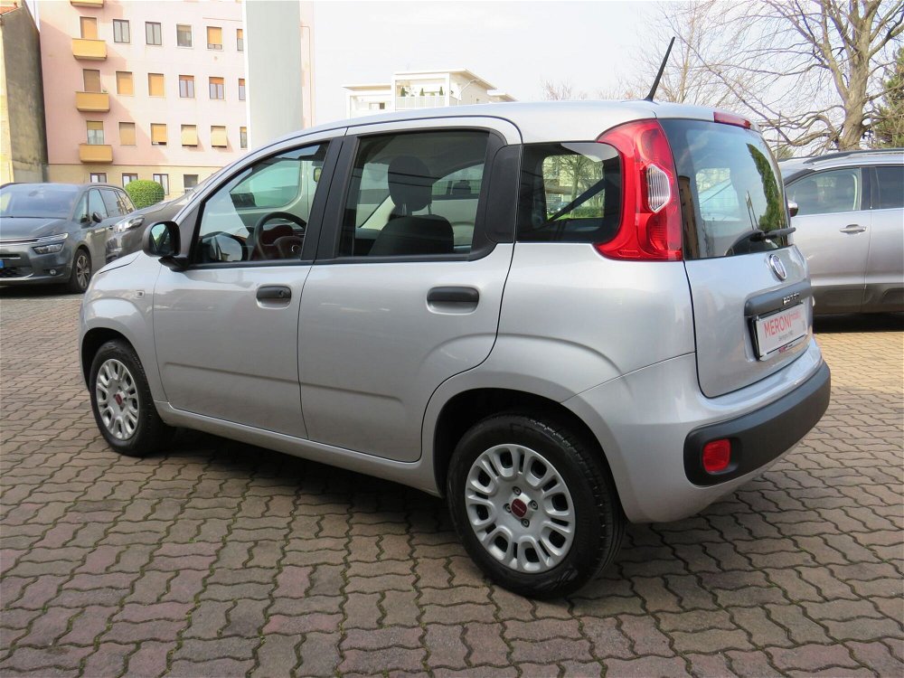 Fiat Panda 1.2 Easy  del 2020 usata a Seregno (4)
