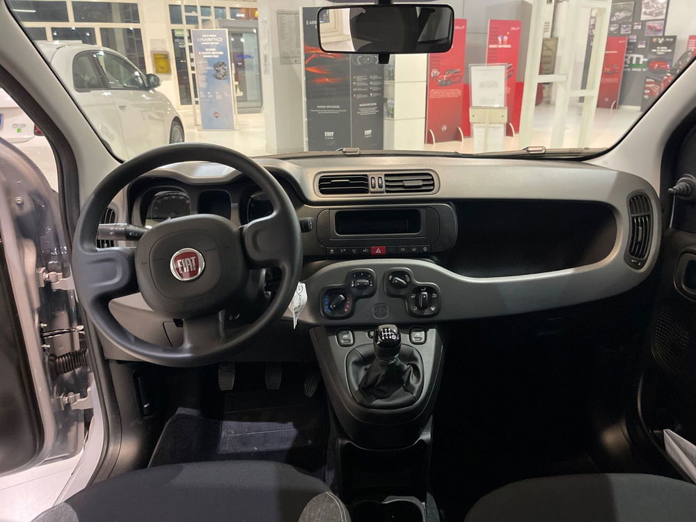 Fiat Panda Cross usata a Frosinone (19)