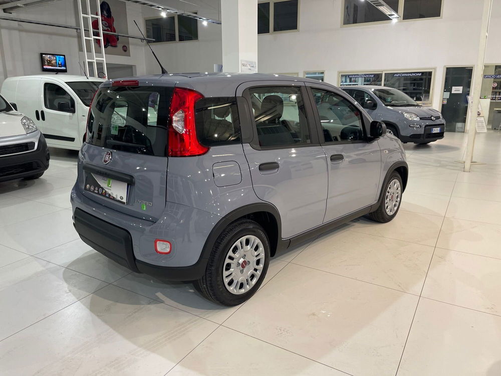 Fiat Panda 1.0 FireFly S&S Hybrid City Cross  del 2022 usata a Sora (4)