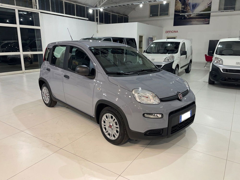 Fiat Panda usata a Frosinone (3)