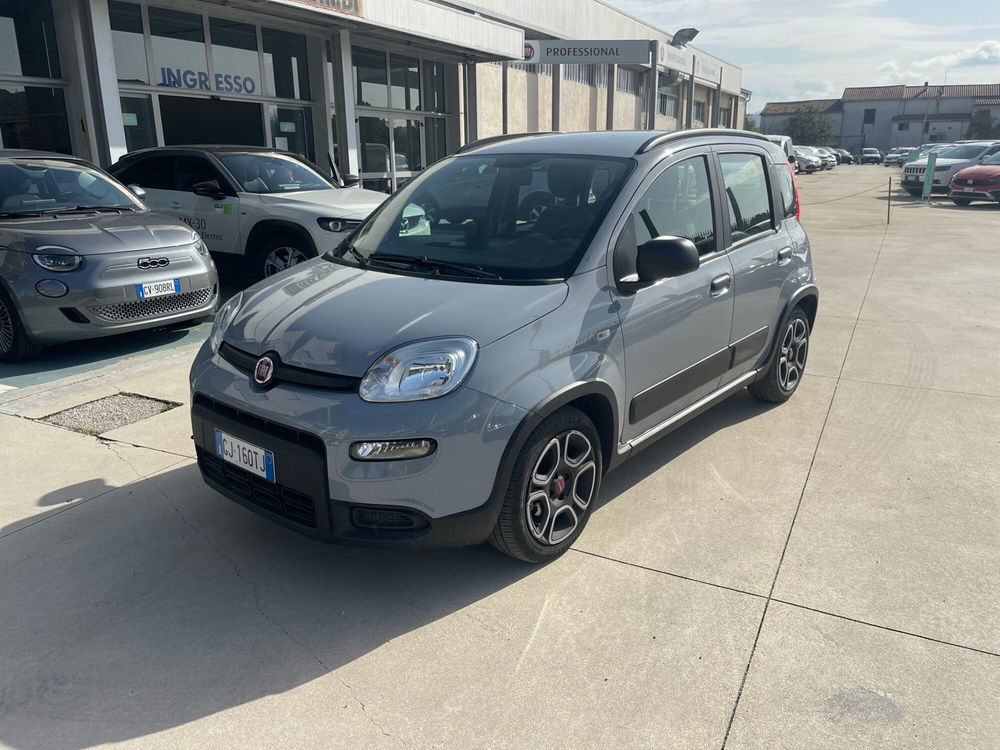 Fiat Panda usata a Frosinone