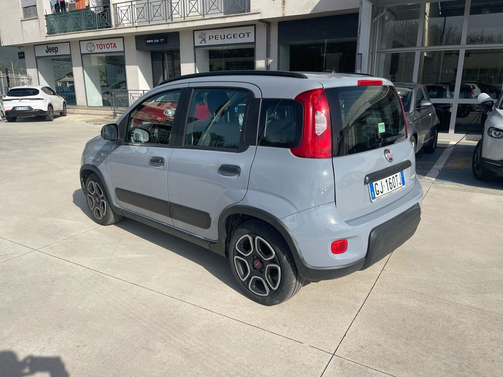 Fiat Panda usata a Frosinone (3)