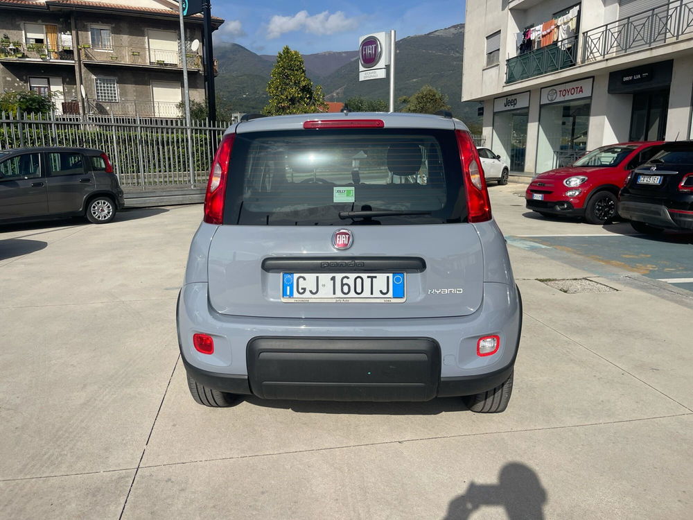 Fiat Panda usata a Frosinone (4)